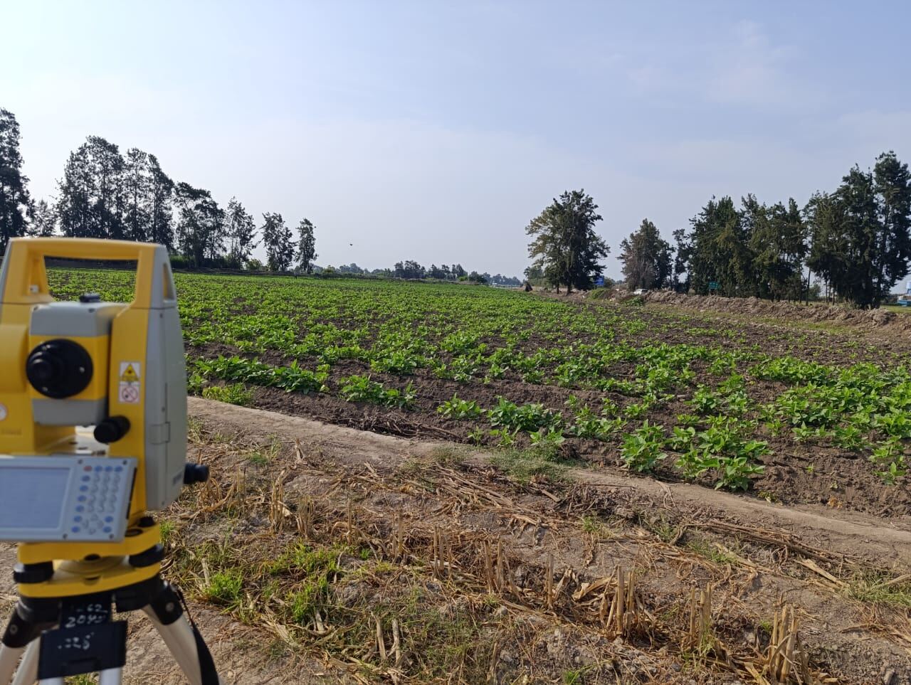 Topografía en terreno de cultivo
